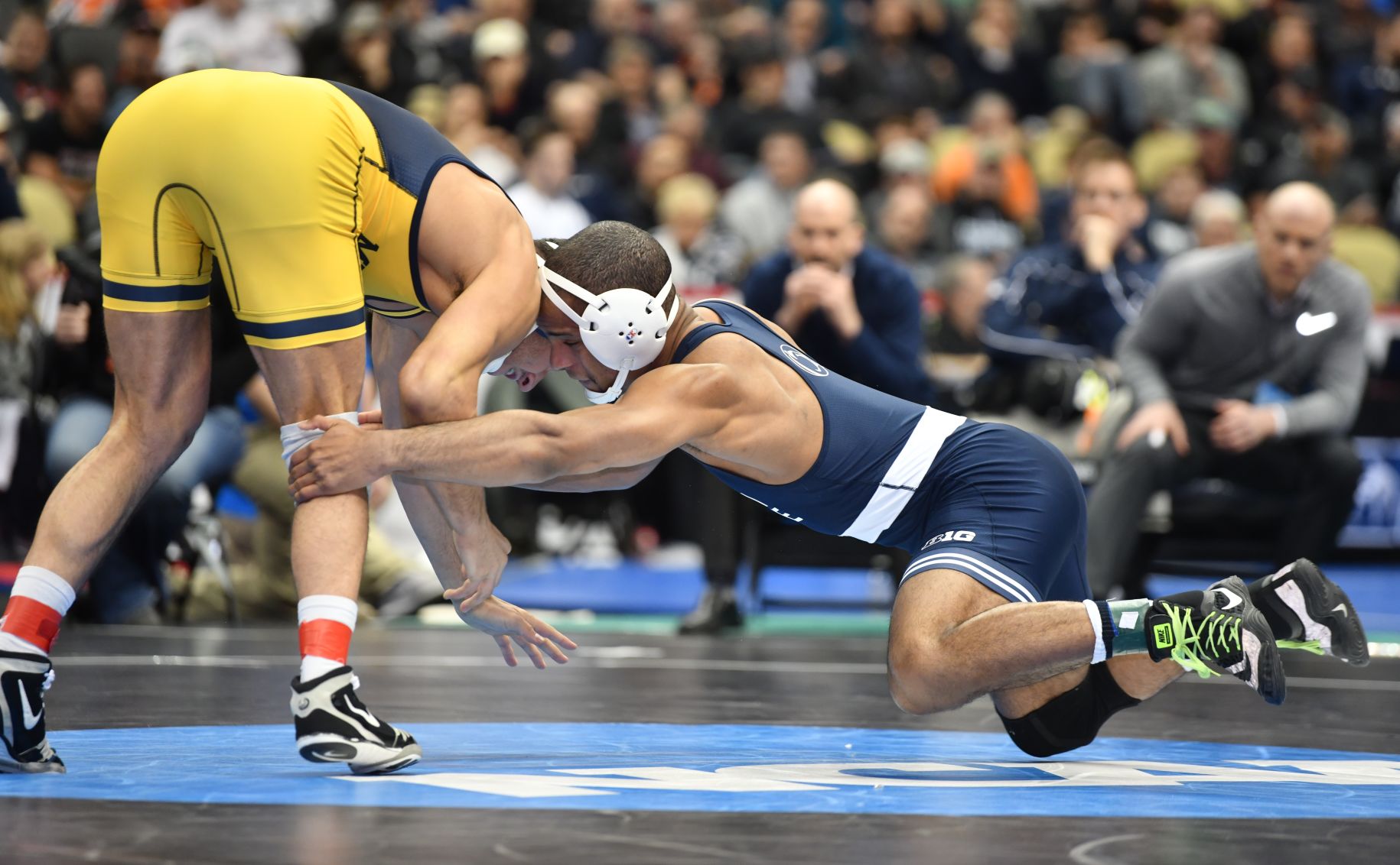 Mark Hall